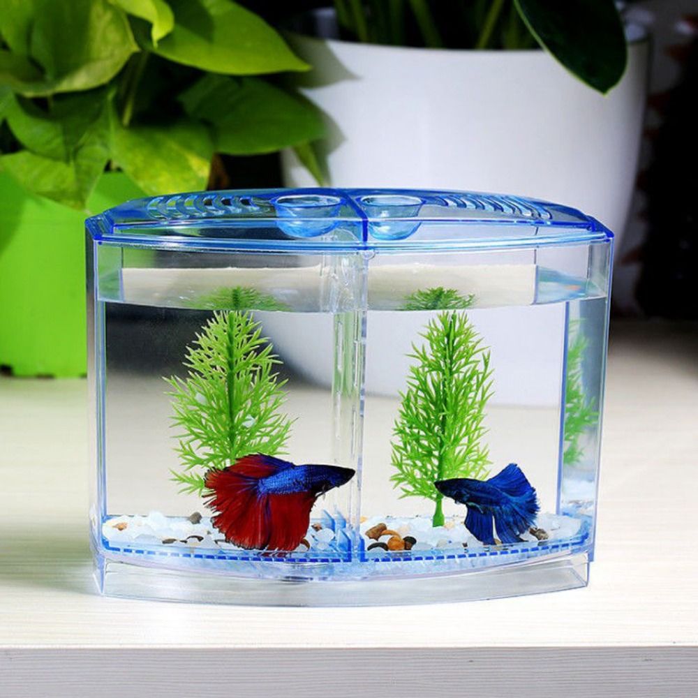 Aquarium Fish Betta - Transparentes Betta-Aquarium, Doppelgitter-Rhombus-Guppy-Aquarium, Brut-und Zucht isolation