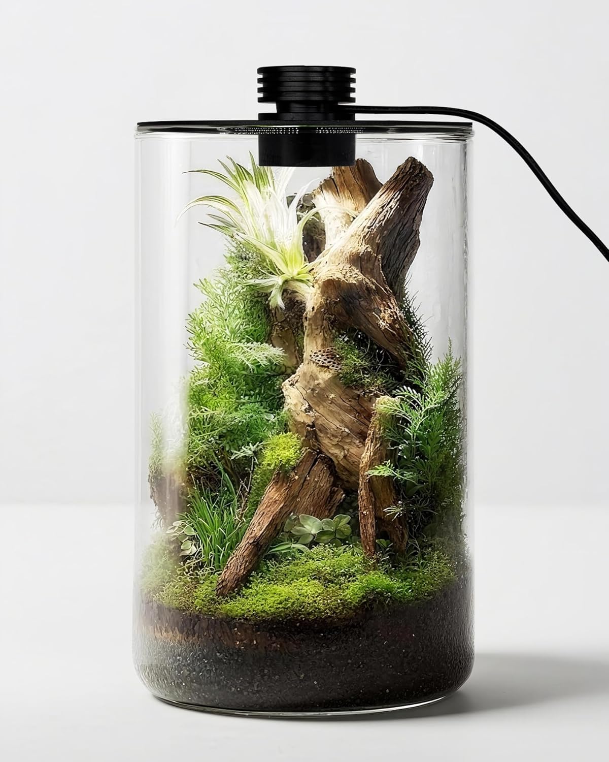 Betta Fish Tank - Glas-Terrarium für Innenräume mit Wachstumslampe, 24,9