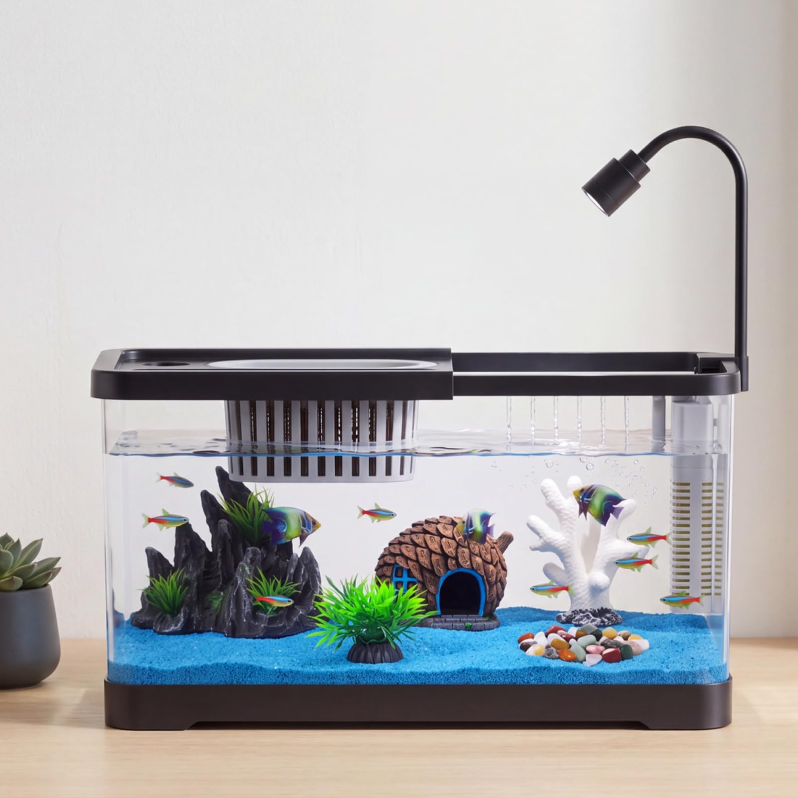 Aquarium-Starter-Set mit Filte – Aquarium Fish Betta Bewertung und Preis