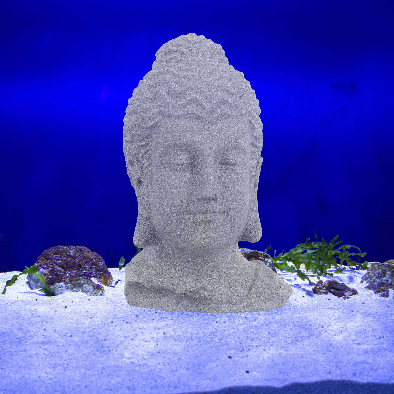 Meditierender Buddha-Kopf, Sta – Fish Aquarium Home Bewertung und Preis
