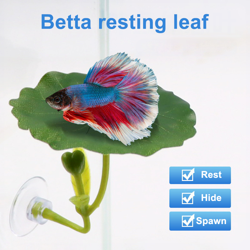 (Ce14)1/5PC Grüne Blatt-Hängem – Aquarium Fish Betta Bewertung und Preis