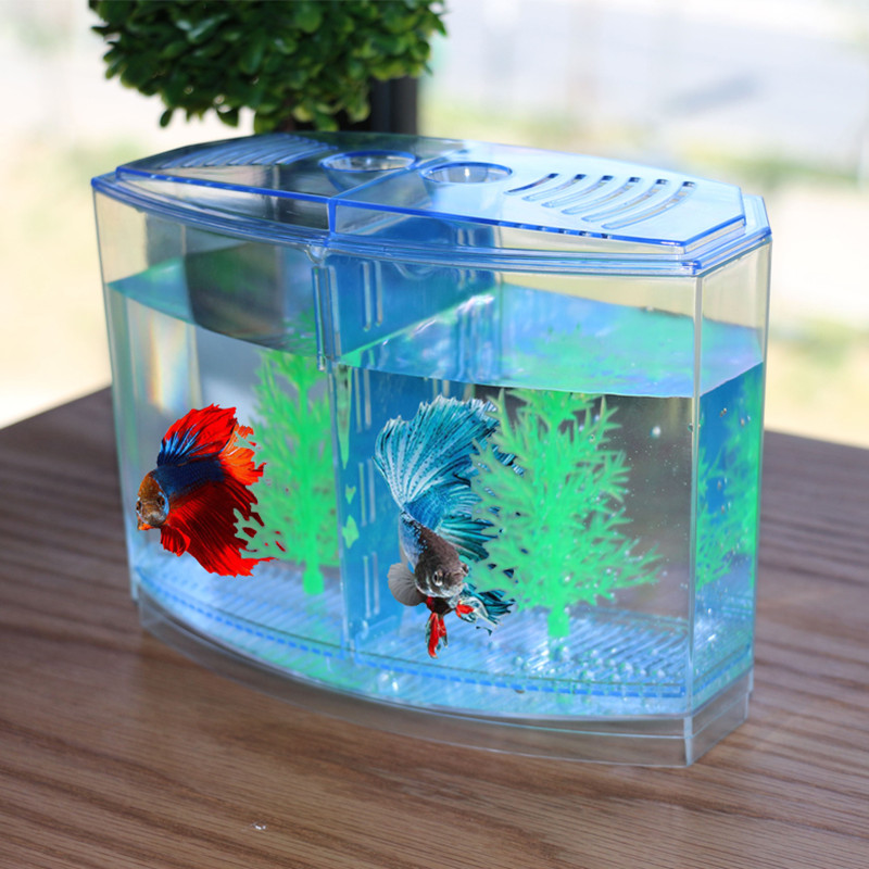 Neuartiges und lustiges Spielz – Aquarium Fish Keeping Bewertung und Preis