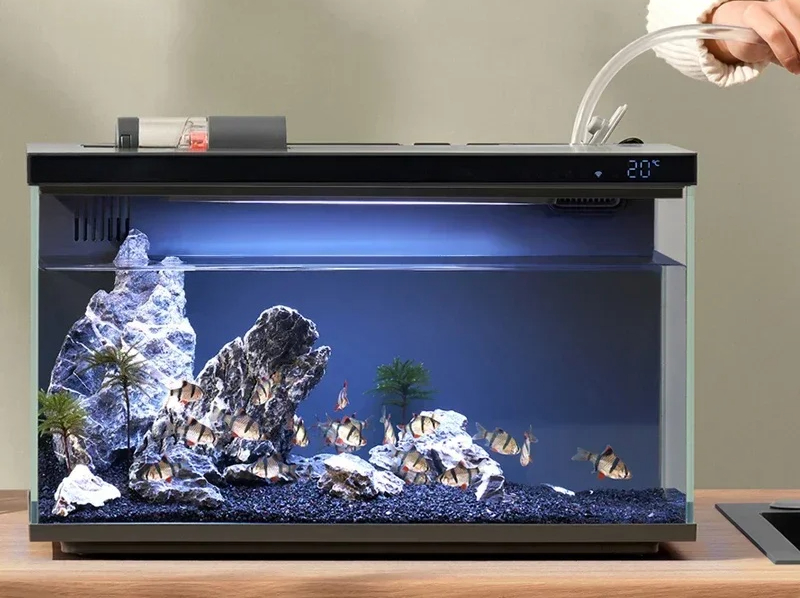 Mit der Mijia APP mobil gesteu – Xiaomi Aquarium Fish Tank Bewertung und Preis