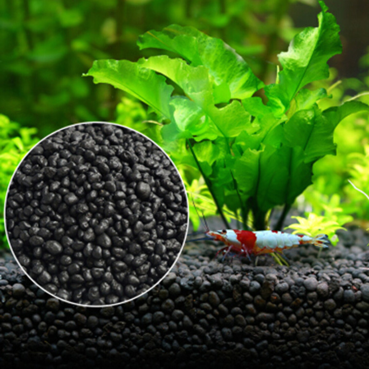 Aquarium Pflanzen Samen Boden  – Fish Tank Gravel Bewertung und Preis