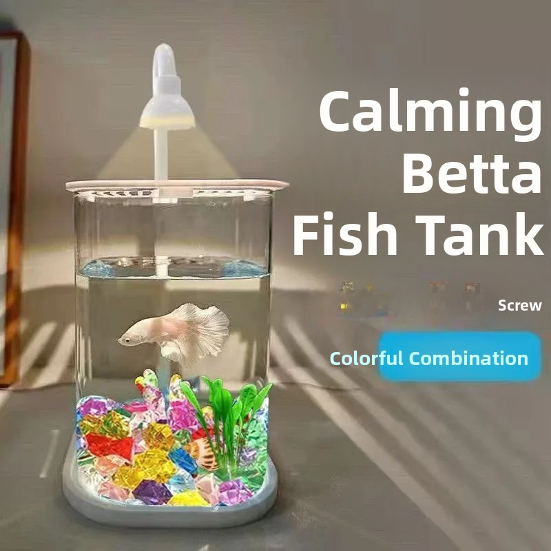 Komplettes Set Transparentes A – Betta Fish Tank Bewertung und Preis