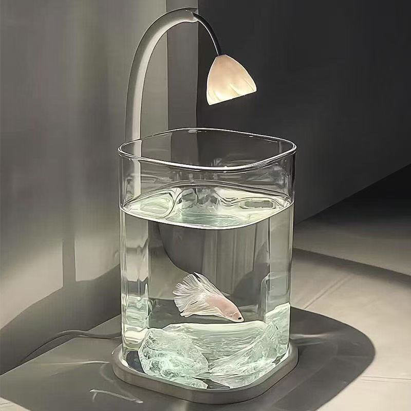 Komplettes Set Transparentes A – Betta Fish Tank Bewertung und Preis