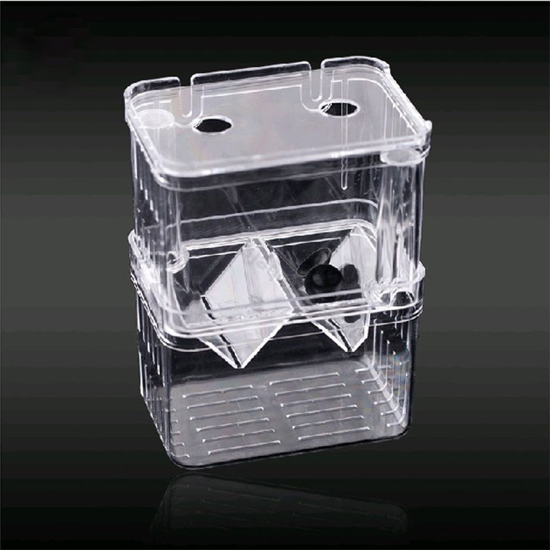 Pfau Fisch Zucht Isolation Box – Aquarium Fish Betta Bewertung und Preis