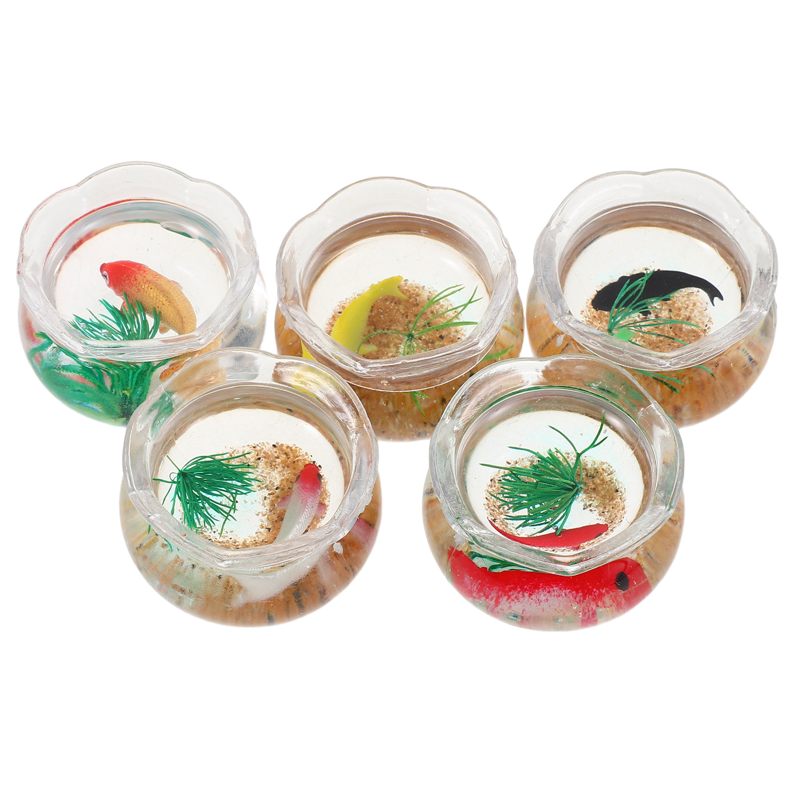 5 Stück Miniatur-Koi-Aquarium: – Aquarium Plants Bewertung und Preis